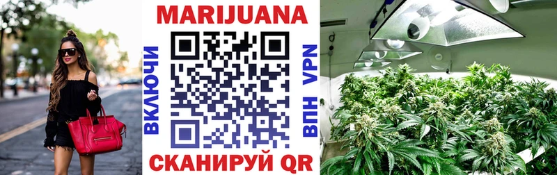Конопля Bruce Banner  где найти   Шахунья 